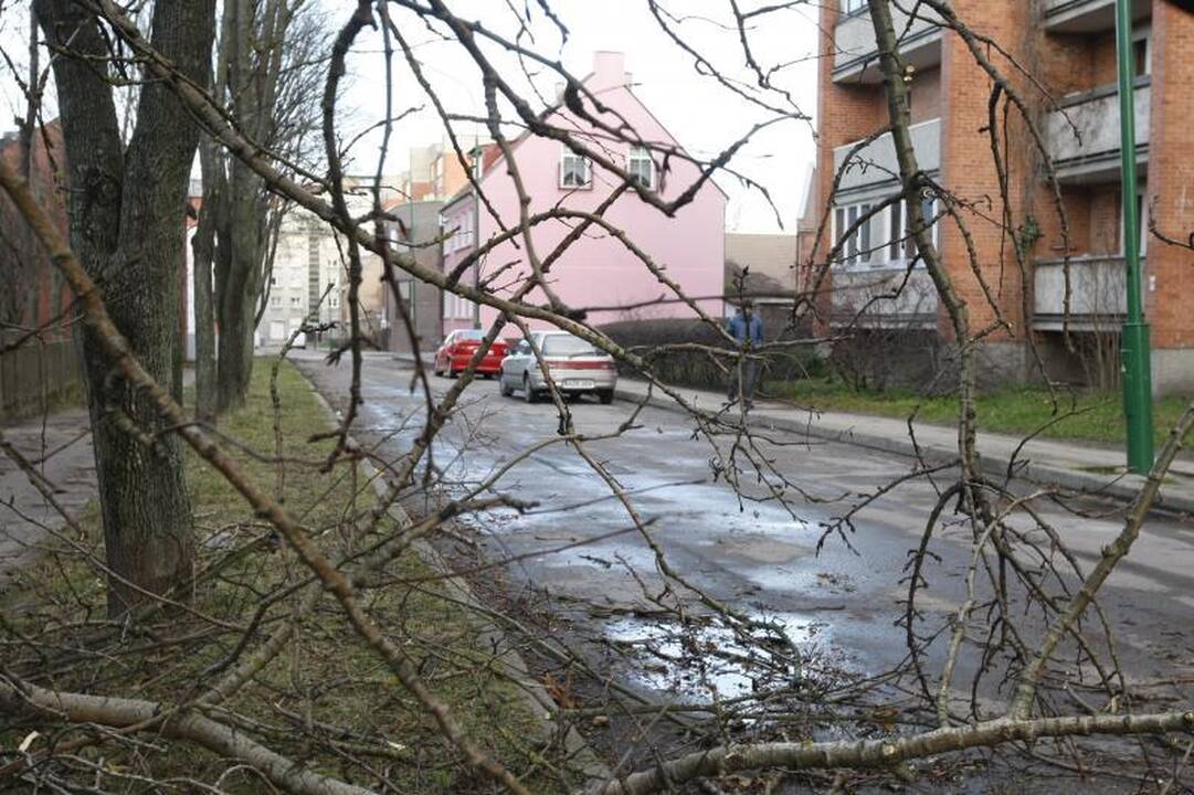 Stiprus vėjas naktį nusiaubė pajūrį (atnaujinta 15:58 val.)
