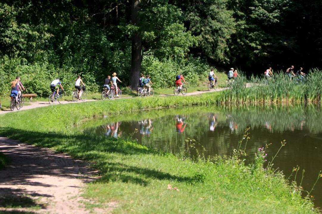 Dviračių entuziastai     tyrinėjo Vilnių