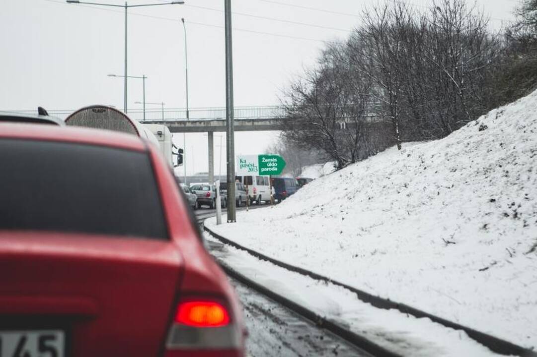 Žemės ūkio paroda „Ką pasėsi... 2013“ prasidėjo įspūdingomis spūstimis