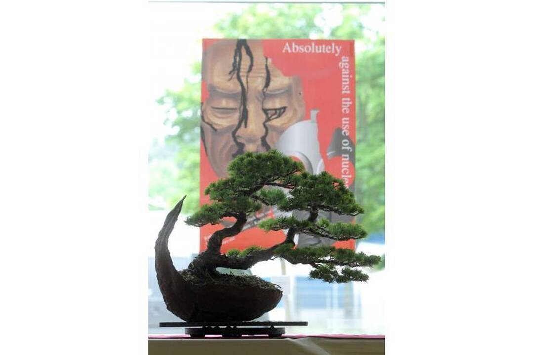Vilniuje – Japonijos kultūros šventė