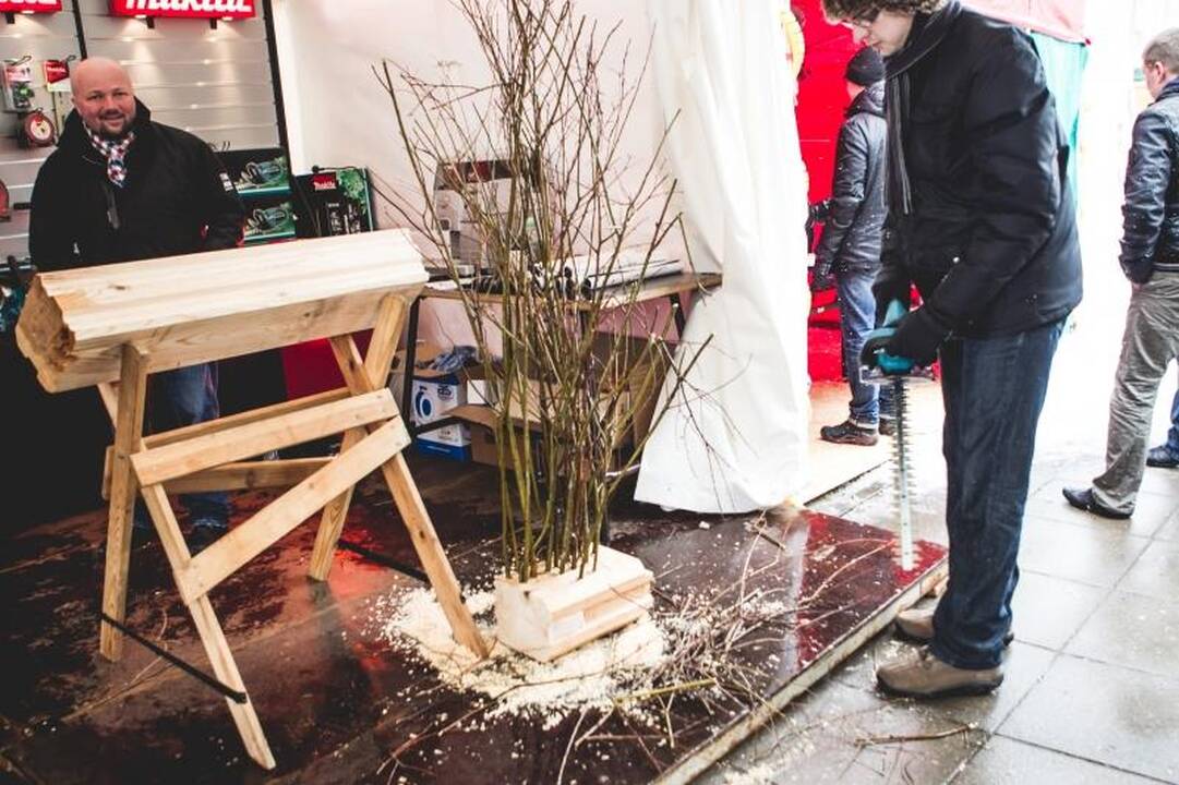 Žemės ūkio paroda „Ką pasėsi... 2013“ prasidėjo įspūdingomis spūstimis