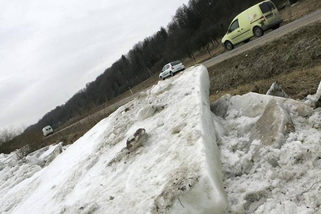 Neris priviliojo gausybę smalsuolių, Nevėžis išsiliejo į pievas (dar papildyta)