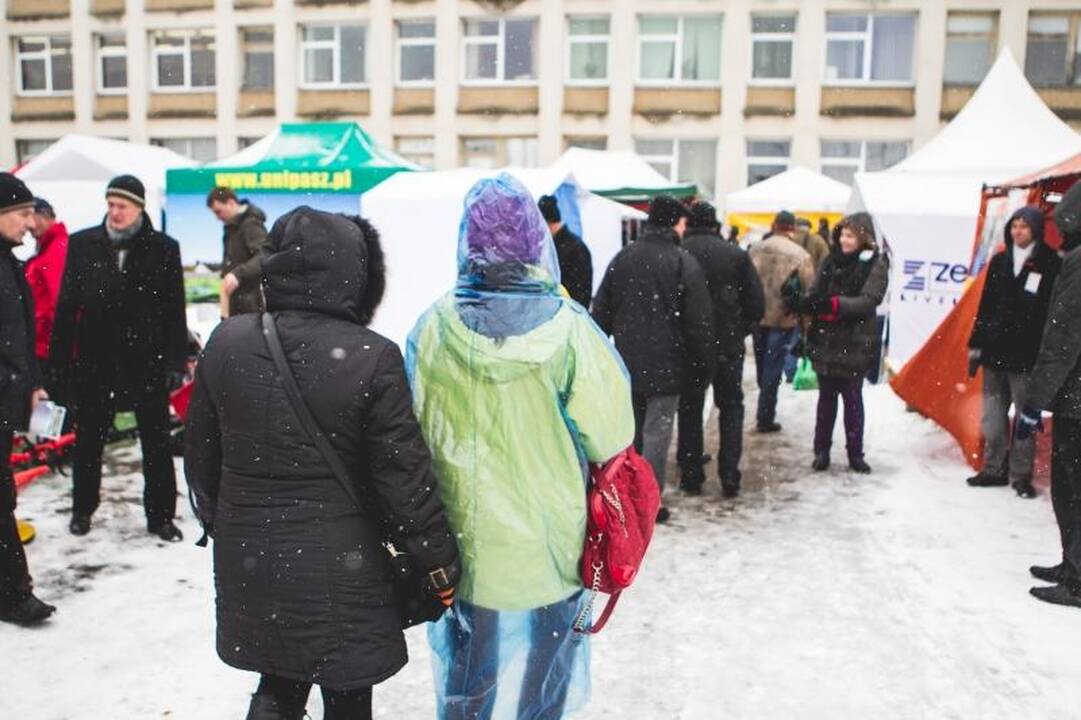 Žemės ūkio paroda „Ką pasėsi... 2013“ prasidėjo įspūdingomis spūstimis