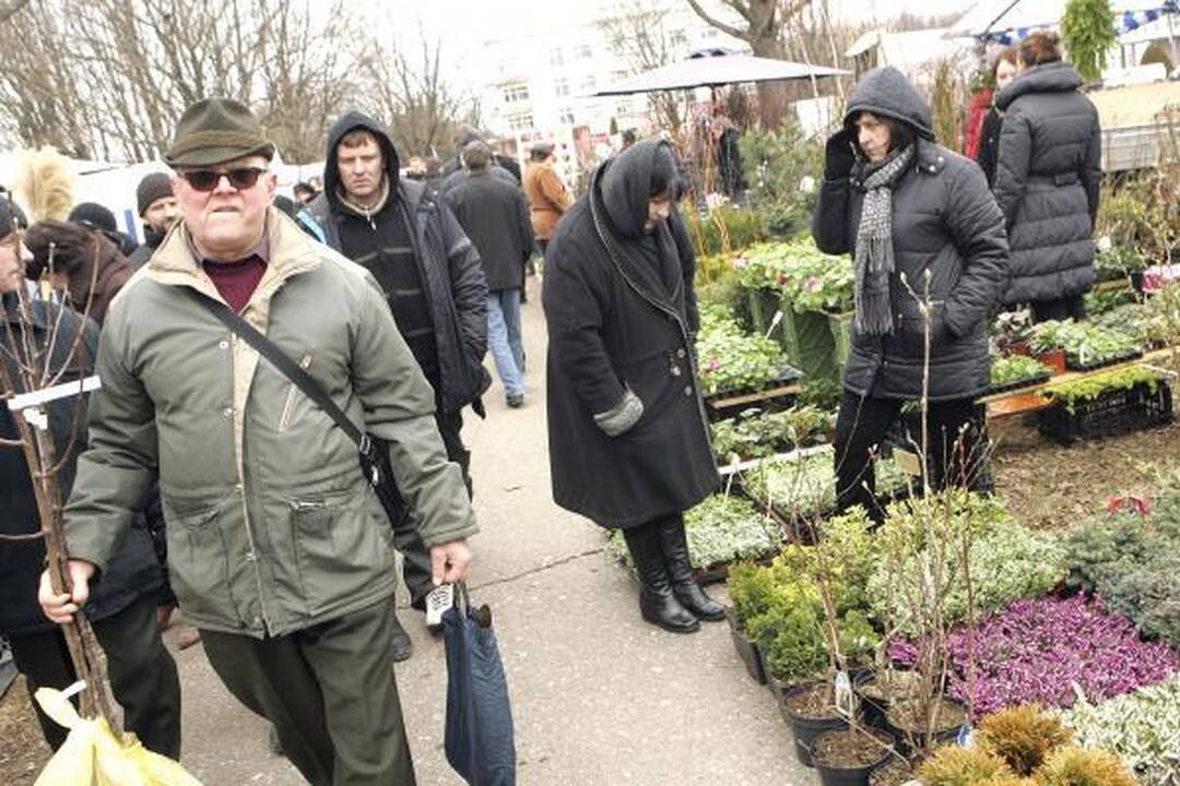 LŽŪU - tradicinė žemės ūkio paroda „Ką pasėsi…" (programa)