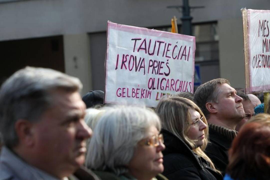 Mitinge prie Seimo – kaltinimai R.Palaičiui ir Prezidentei