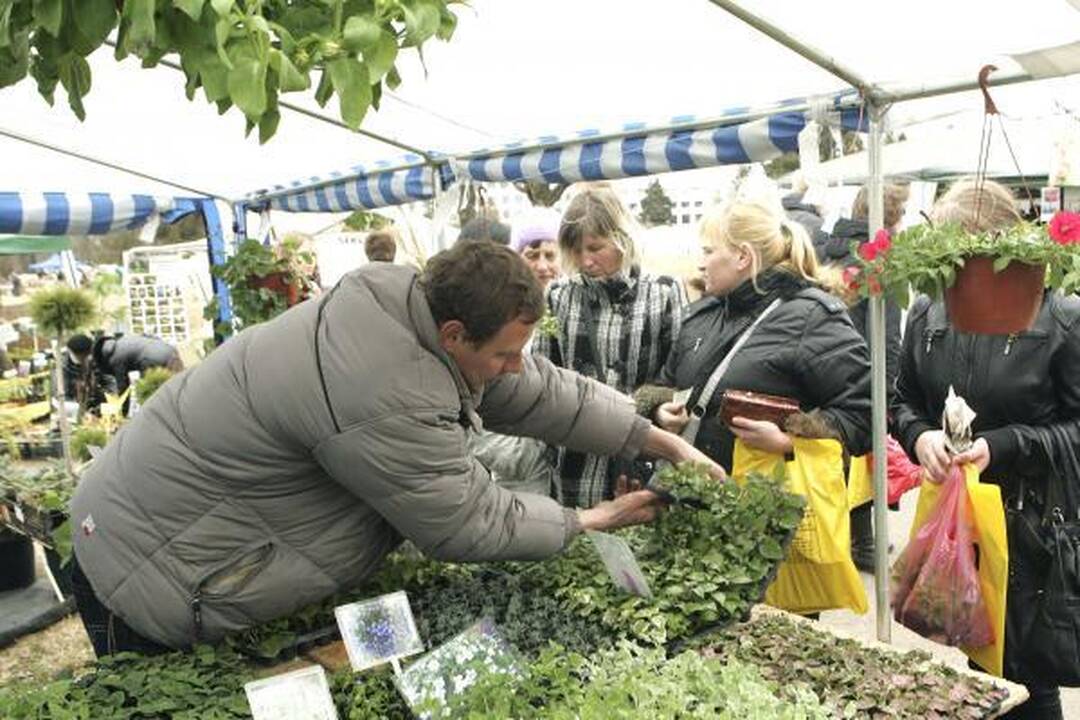 LŽŪU - tradicinė žemės ūkio paroda „Ką pasėsi…" (programa)