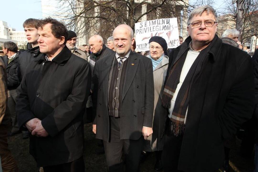 Mitinge prie Seimo – kaltinimai R.Palaičiui ir Prezidentei
