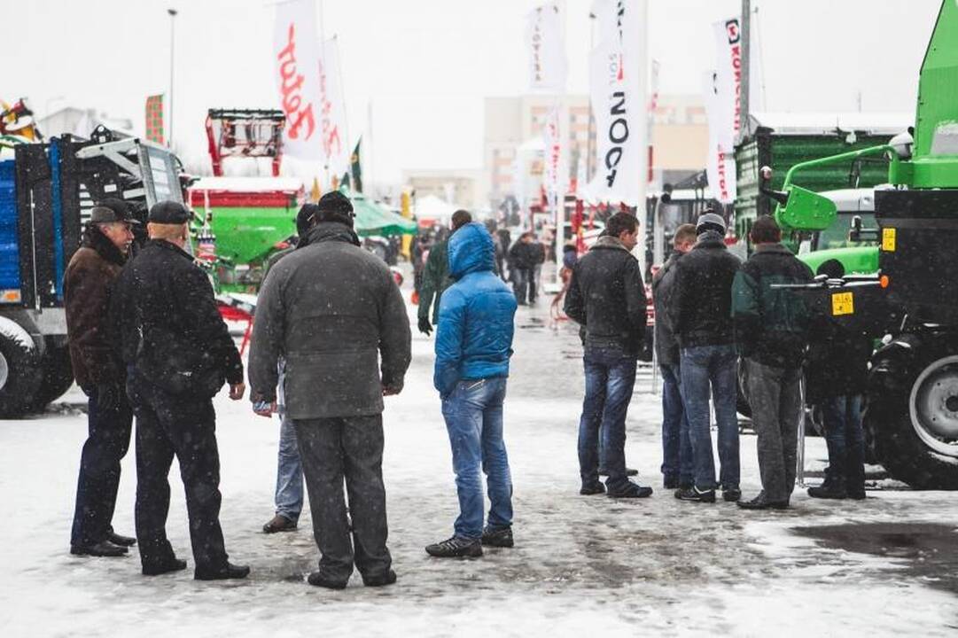Žemės ūkio paroda „Ką pasėsi... 2013“ prasidėjo įspūdingomis spūstimis