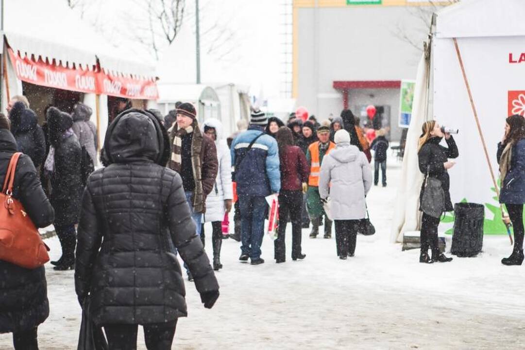 Žemės ūkio paroda „Ką pasėsi... 2013“ prasidėjo įspūdingomis spūstimis