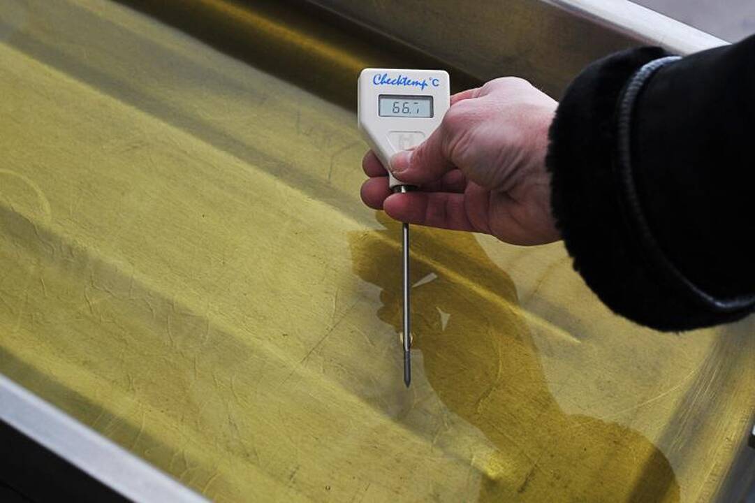 Žemaičių blyno užteko visam būriui smalsuolių 