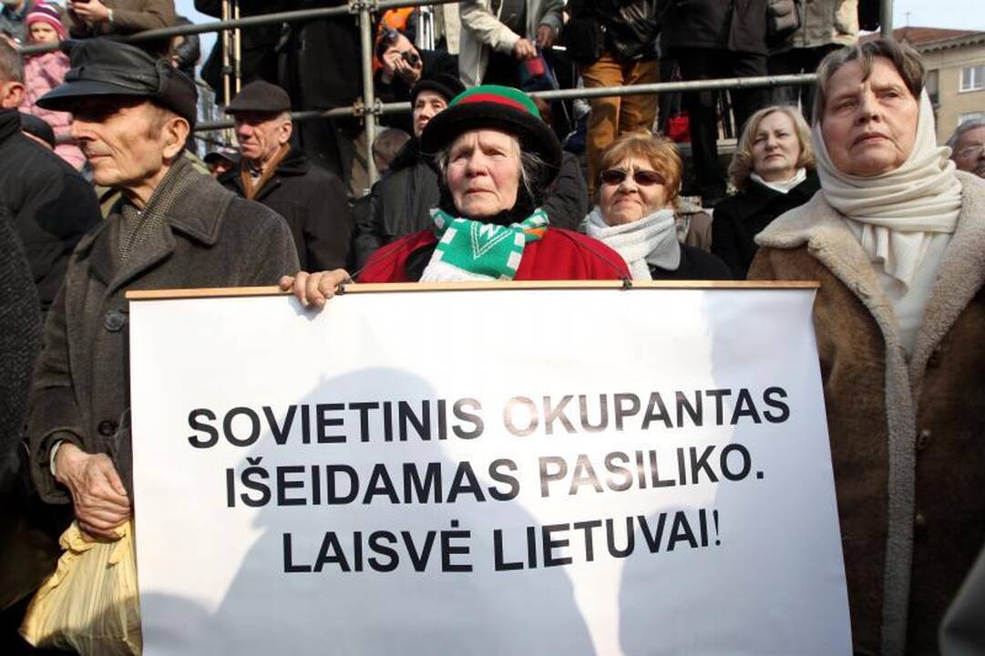Mitinge prie Seimo – kaltinimai R.Palaičiui ir Prezidentei