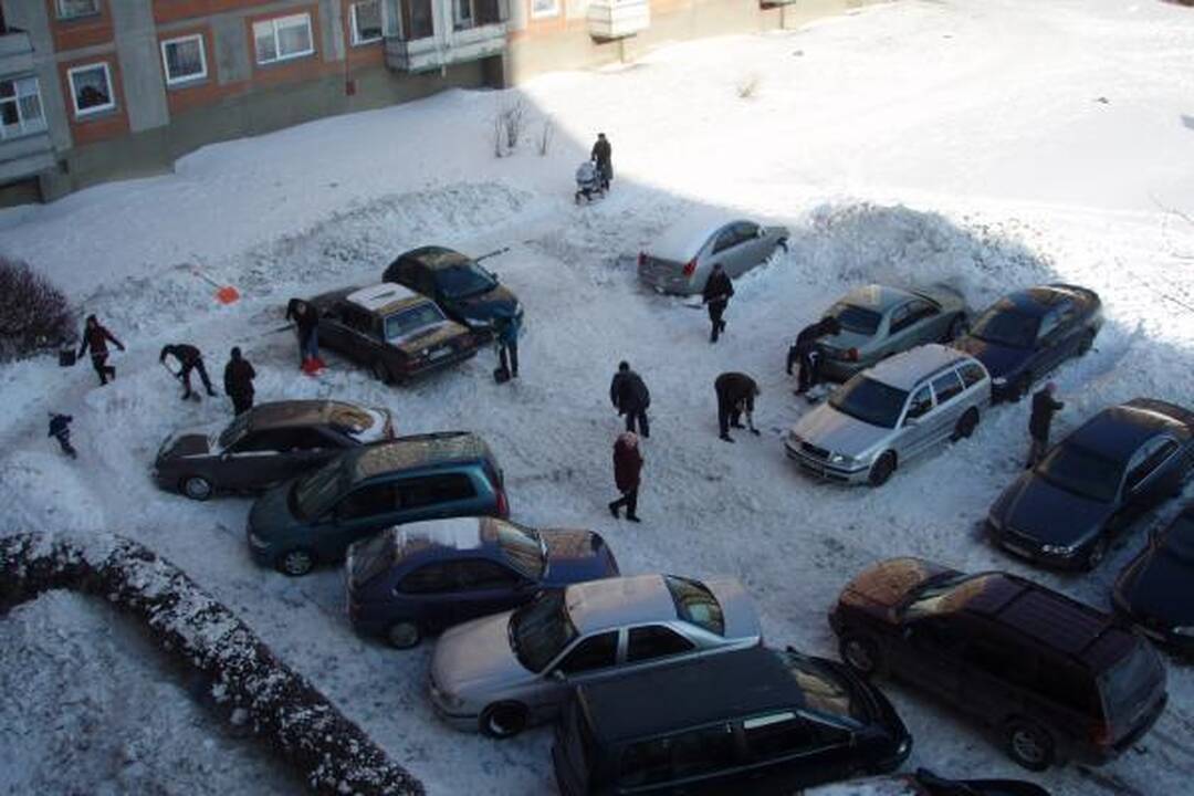 Klaipėdiečiai plušo kiemuose