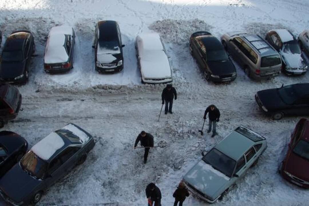 Klaipėdiečiai plušo kiemuose