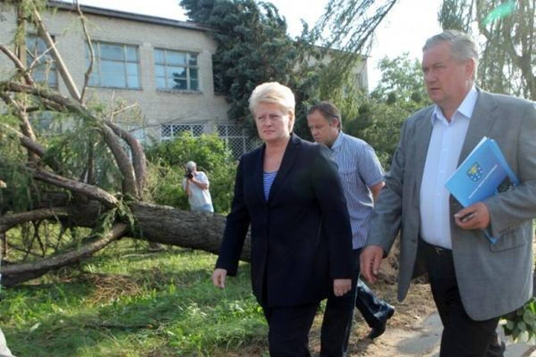 Prezidentė bara draudimo bendroves, gyventojus kviečia į talką