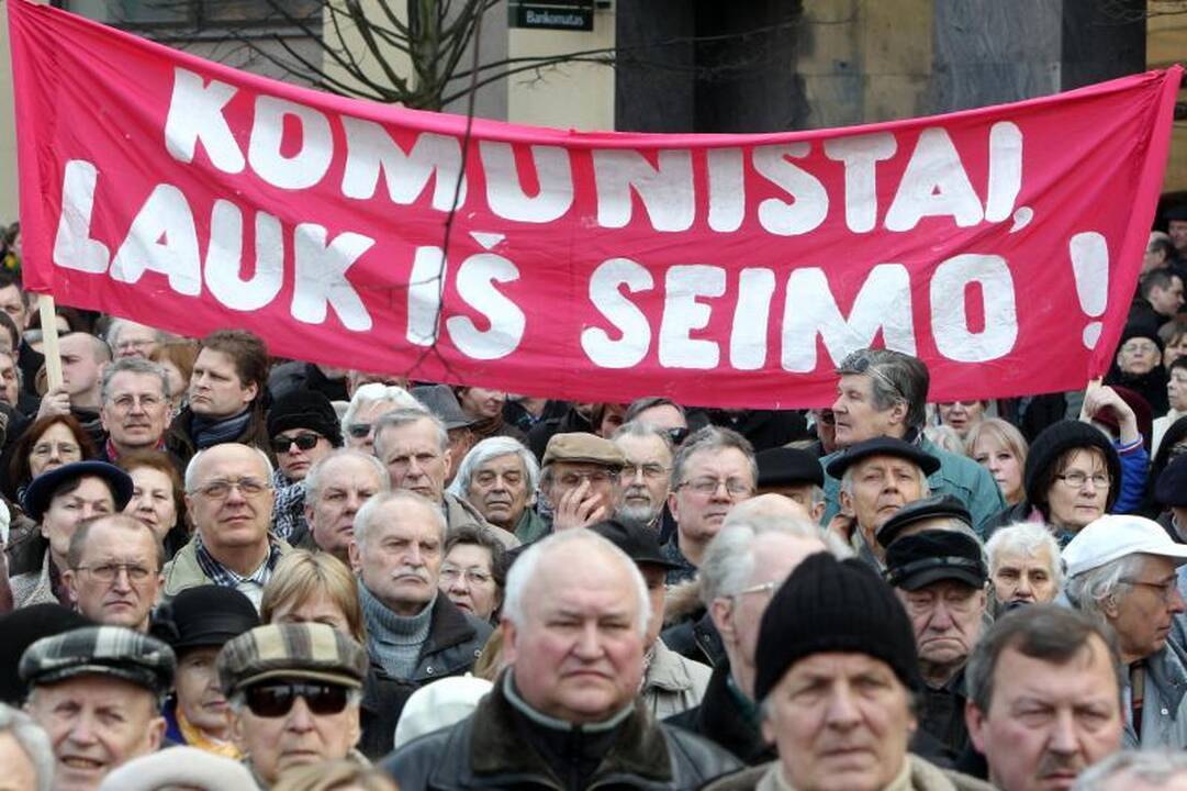 Mitinge prie Seimo – kaltinimai R.Palaičiui ir Prezidentei