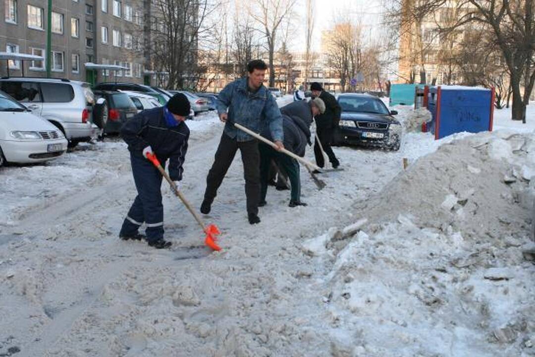 Klaipėdiečiai plušo kiemuose