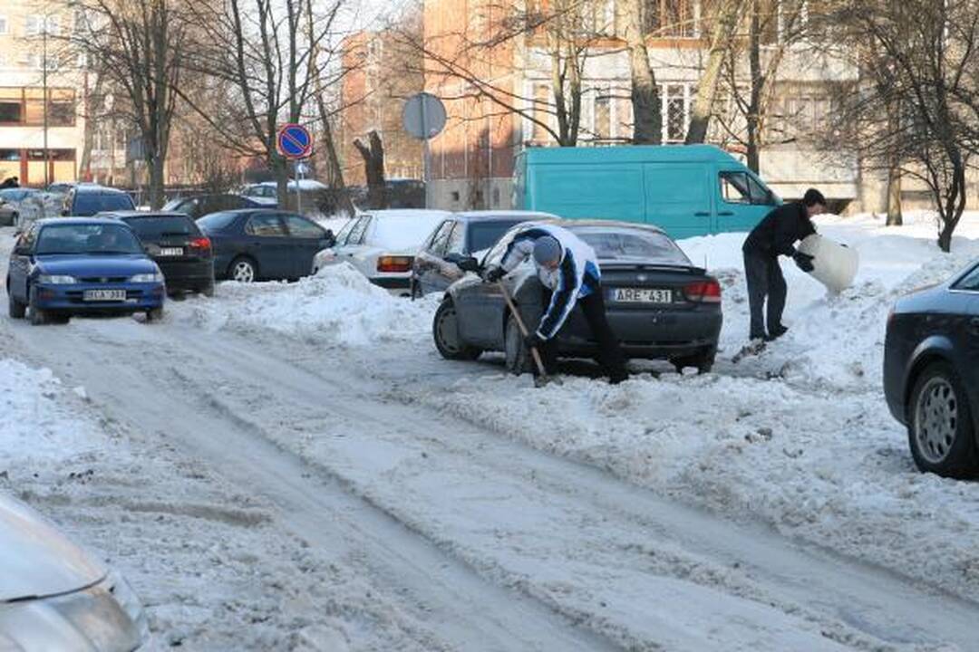 Klaipėdiečiai plušo kiemuose