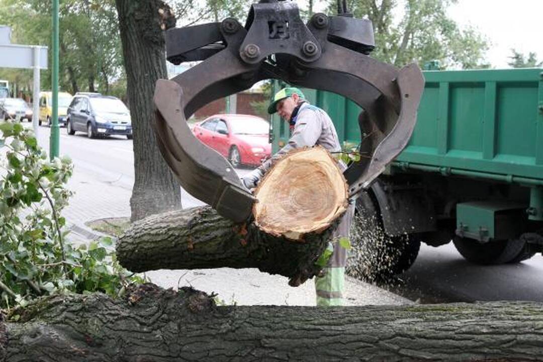 Sinoptikai: Klaipėdoje siautė labai smarki audra