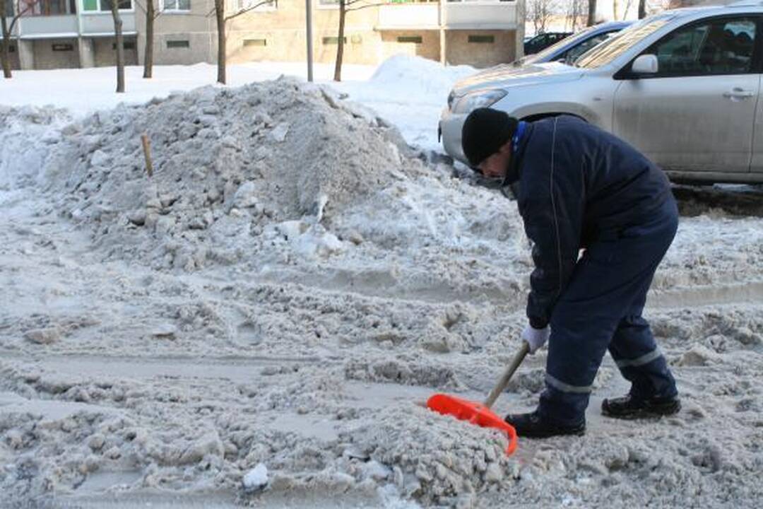 Klaipėdiečiai plušo kiemuose