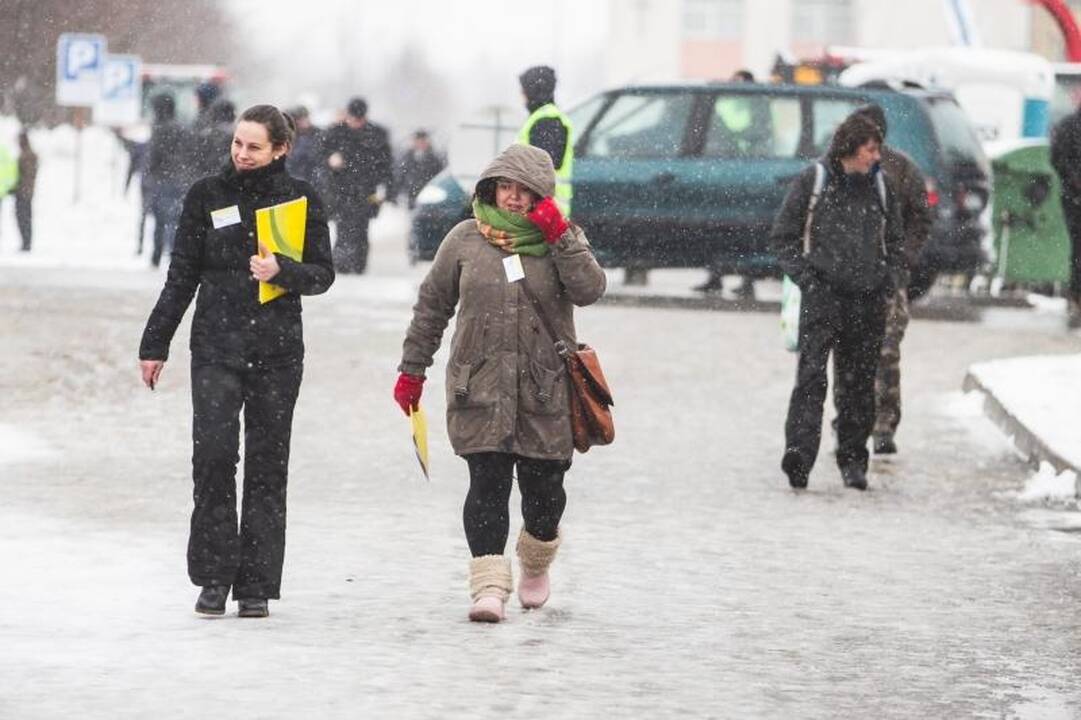 Žemės ūkio paroda „Ką pasėsi... 2013“ prasidėjo įspūdingomis spūstimis