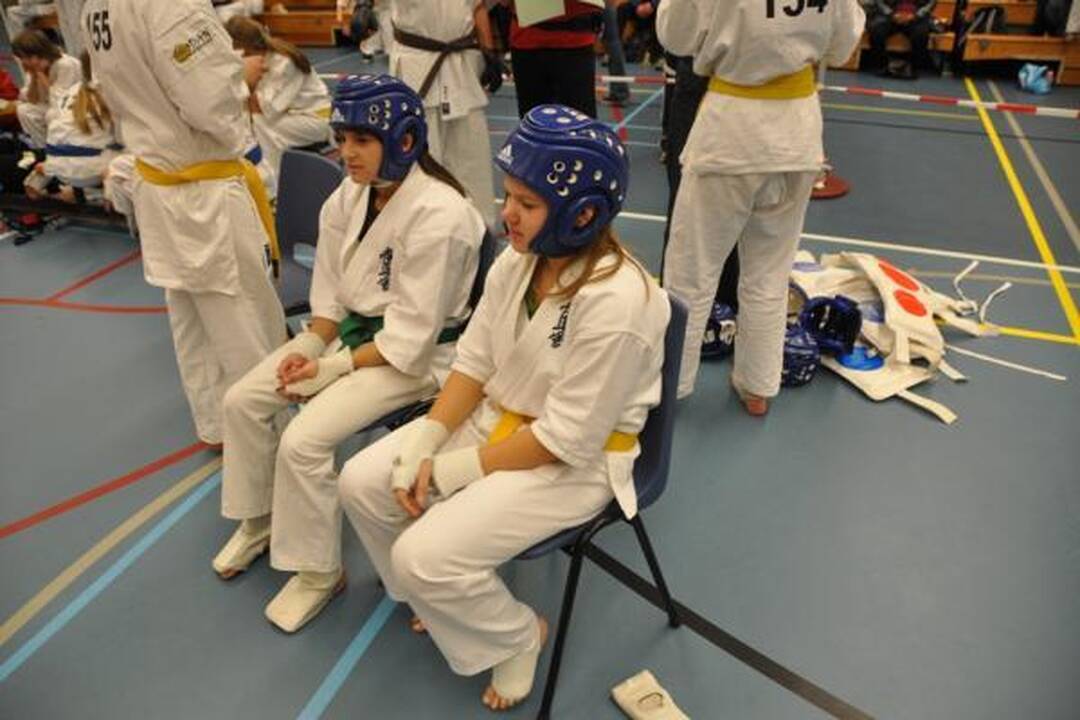 „Shodan“ karate mokyklos sėkmingas startas Olandijoje