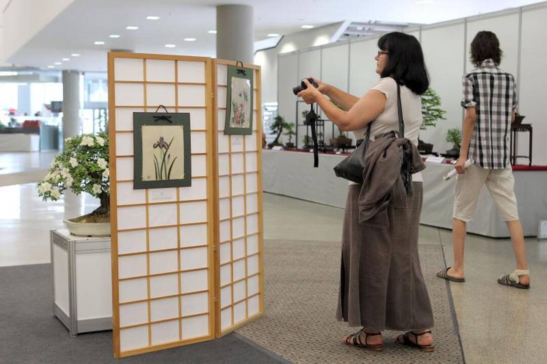 Vilniuje – Japonijos kultūros šventė