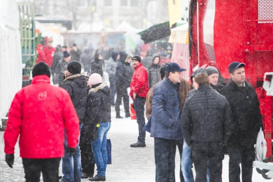 Žemės ūkio paroda „Ką pasėsi... 2013“ prasidėjo įspūdingomis spūstimis