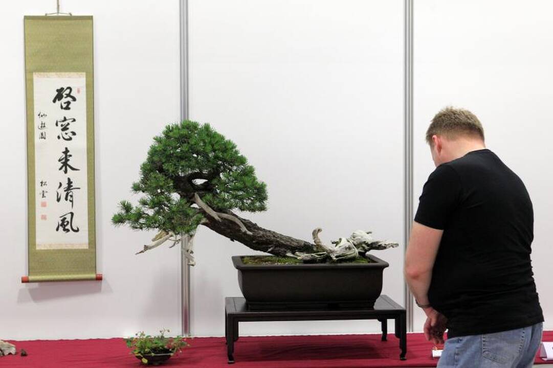 Vilniuje – Japonijos kultūros šventė