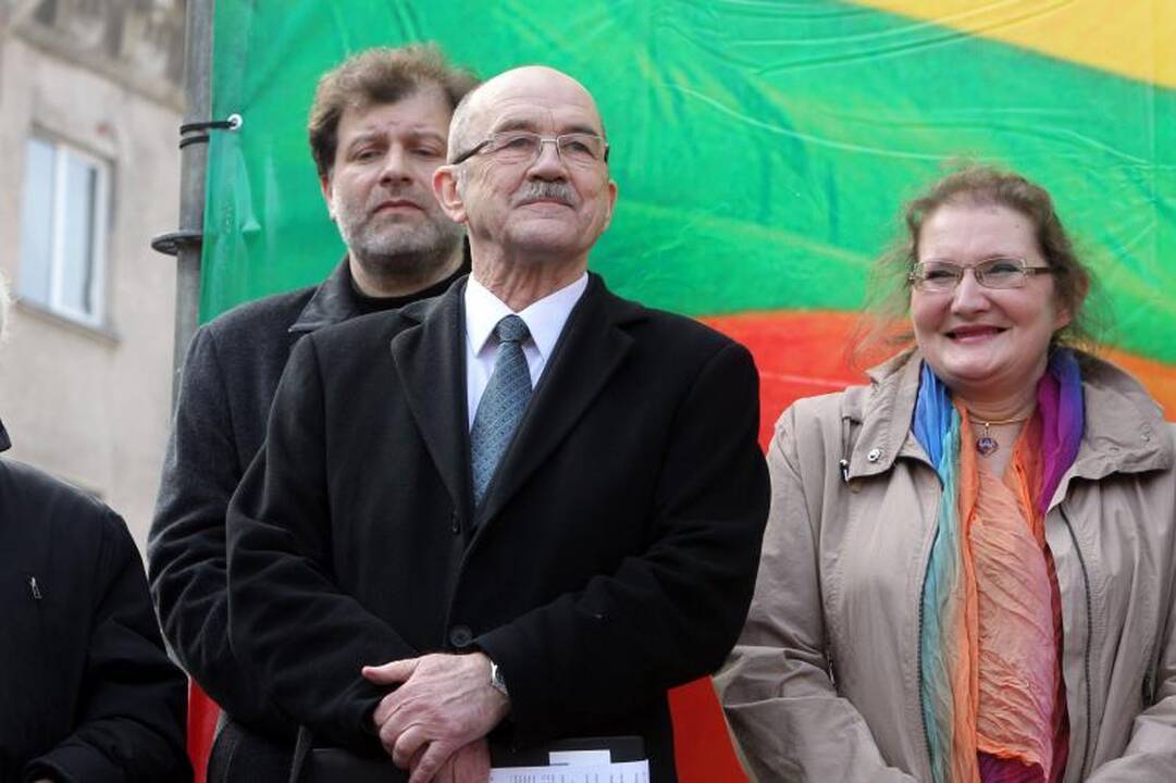 Mitinge prie Seimo – kaltinimai R.Palaičiui ir Prezidentei