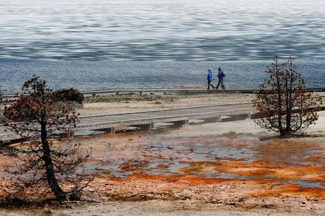 Jeloustono nacionaliniame parke – bakterijų ir spalvų žaismas