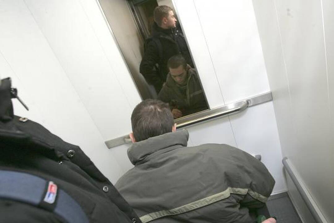 Mindaugui jau paaukota per 100 tūkst. litų