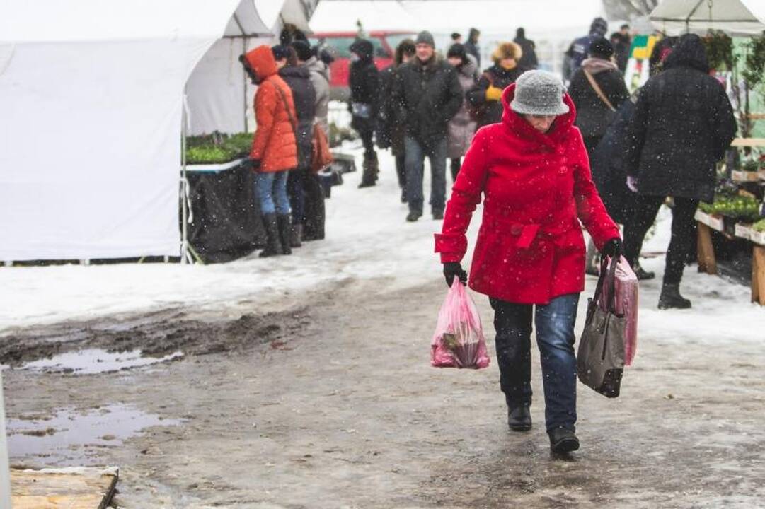Žemės ūkio paroda „Ką pasėsi... 2013“ prasidėjo įspūdingomis spūstimis