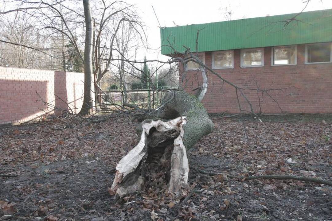 Stiprus vėjas naktį nusiaubė pajūrį (atnaujinta 15:58 val.)