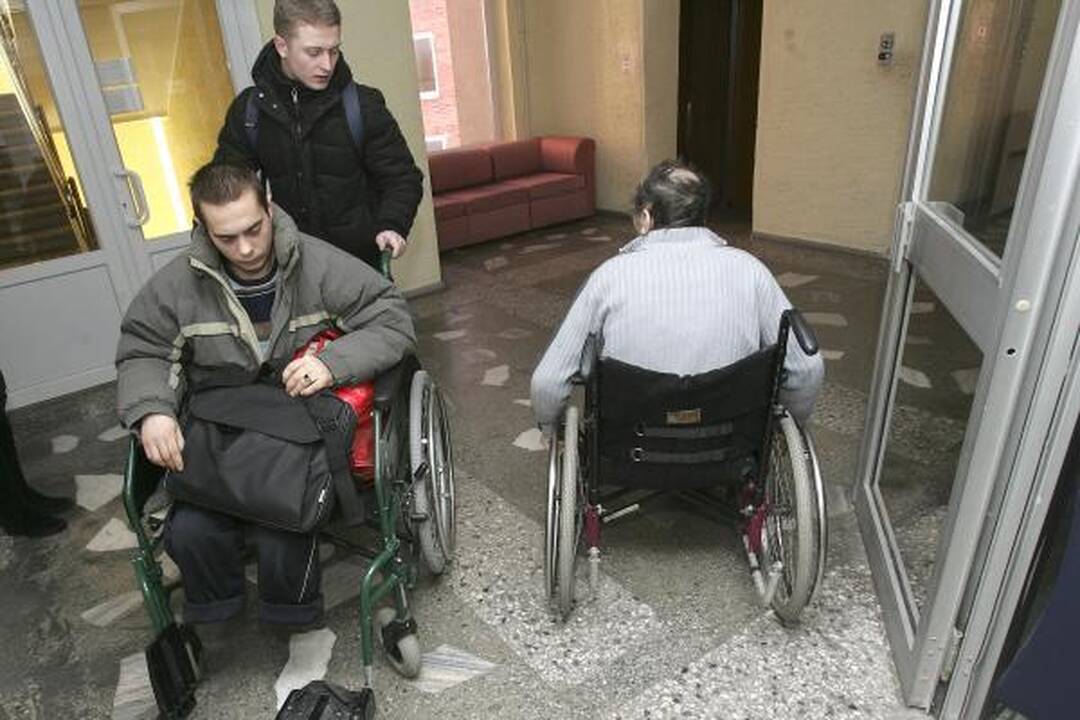 Mindaugui jau paaukota per 100 tūkst. litų