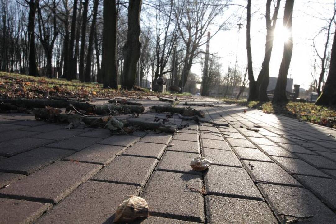 Stiprus vėjas naktį nusiaubė pajūrį (atnaujinta 15:58 val.)