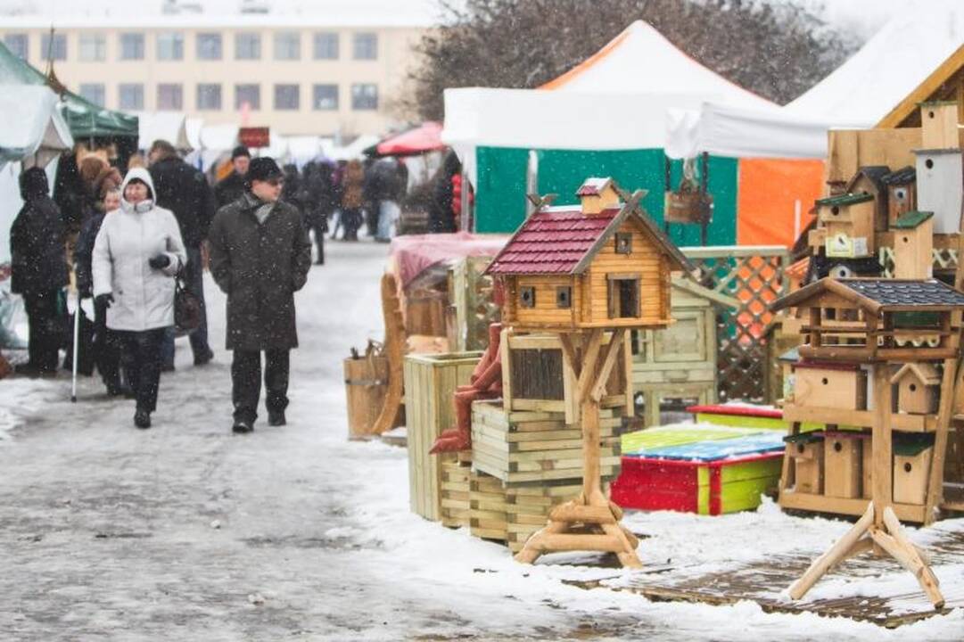 Žemės ūkio paroda „Ką pasėsi... 2013“ prasidėjo įspūdingomis spūstimis