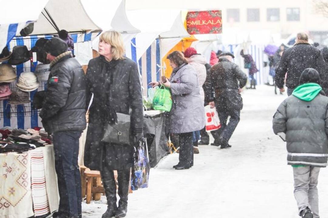 Žemės ūkio paroda „Ką pasėsi... 2013“ prasidėjo įspūdingomis spūstimis