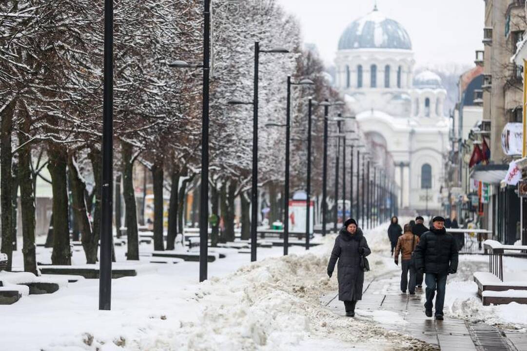 Meteorologė: šio sniego greitai nebeliks