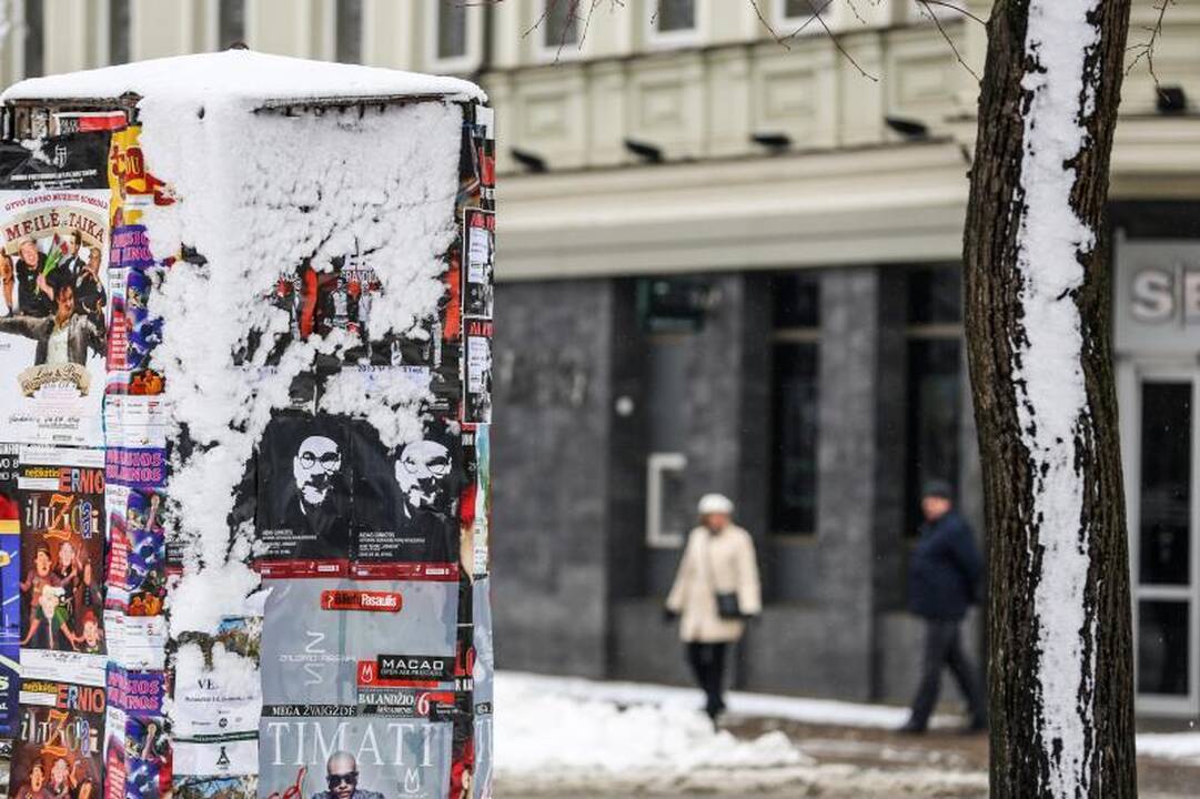 Meteorologė: šio sniego greitai nebeliks