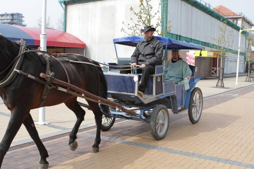 Palangoje  šeštadienį  lijo  gintarais  