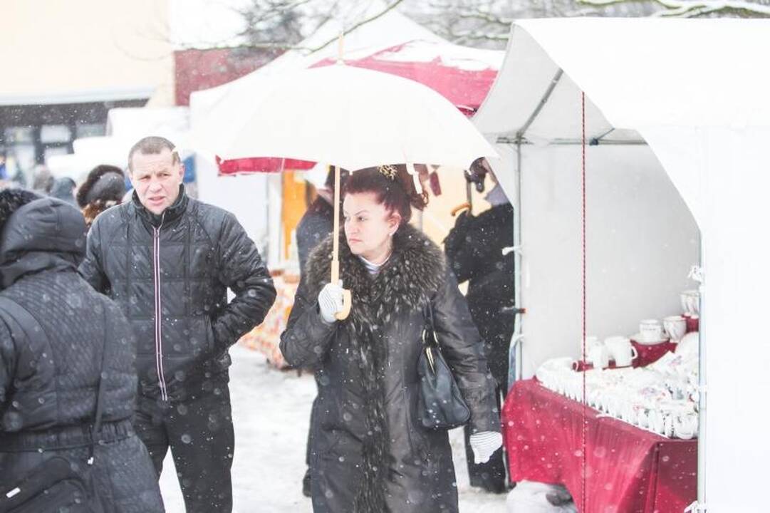 Žemės ūkio paroda „Ką pasėsi... 2013“ prasidėjo įspūdingomis spūstimis