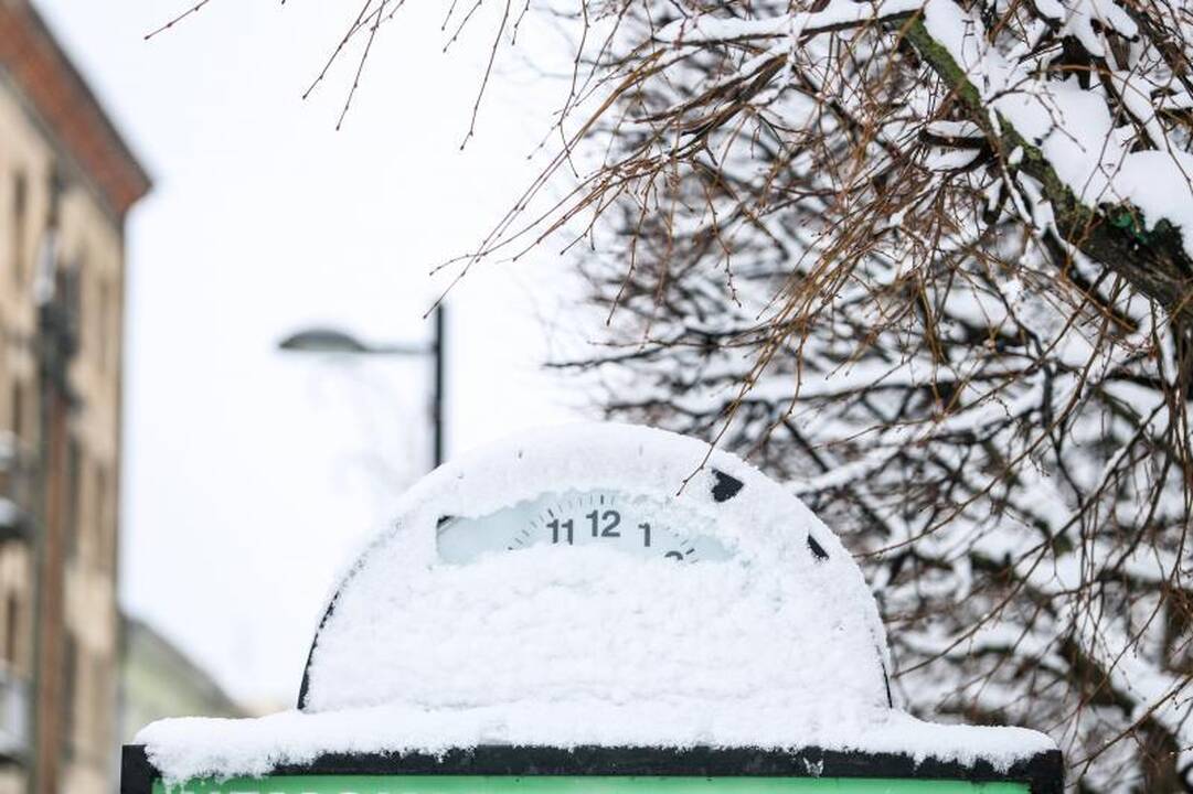 Meteorologė: šio sniego greitai nebeliks