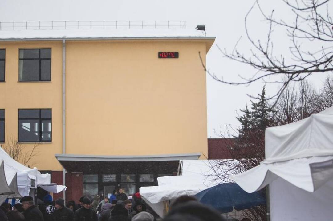Žemės ūkio paroda „Ką pasėsi... 2013“ prasidėjo įspūdingomis spūstimis