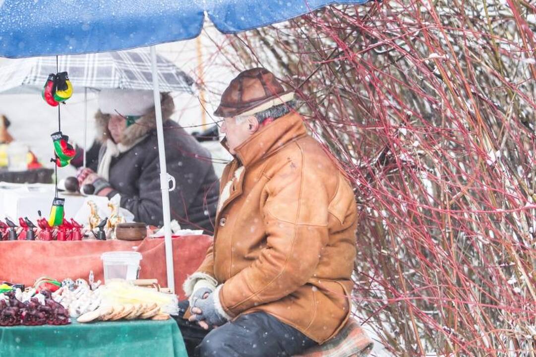 Žemės ūkio paroda „Ką pasėsi... 2013“ prasidėjo įspūdingomis spūstimis