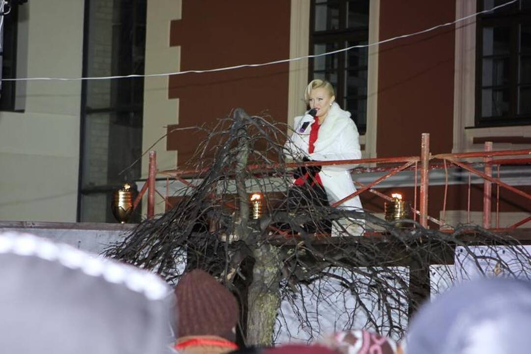 Klaipėdoje eglutė įžiebta pagal S. Nėries „Senelės pasaką“ (papildyta)