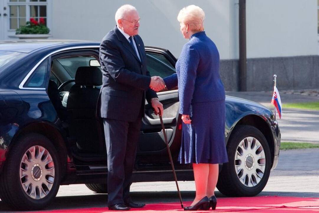 Prezidentė: nereikia turėti iliuzijų, kas ES remtų AE statybą Lietuvoje 