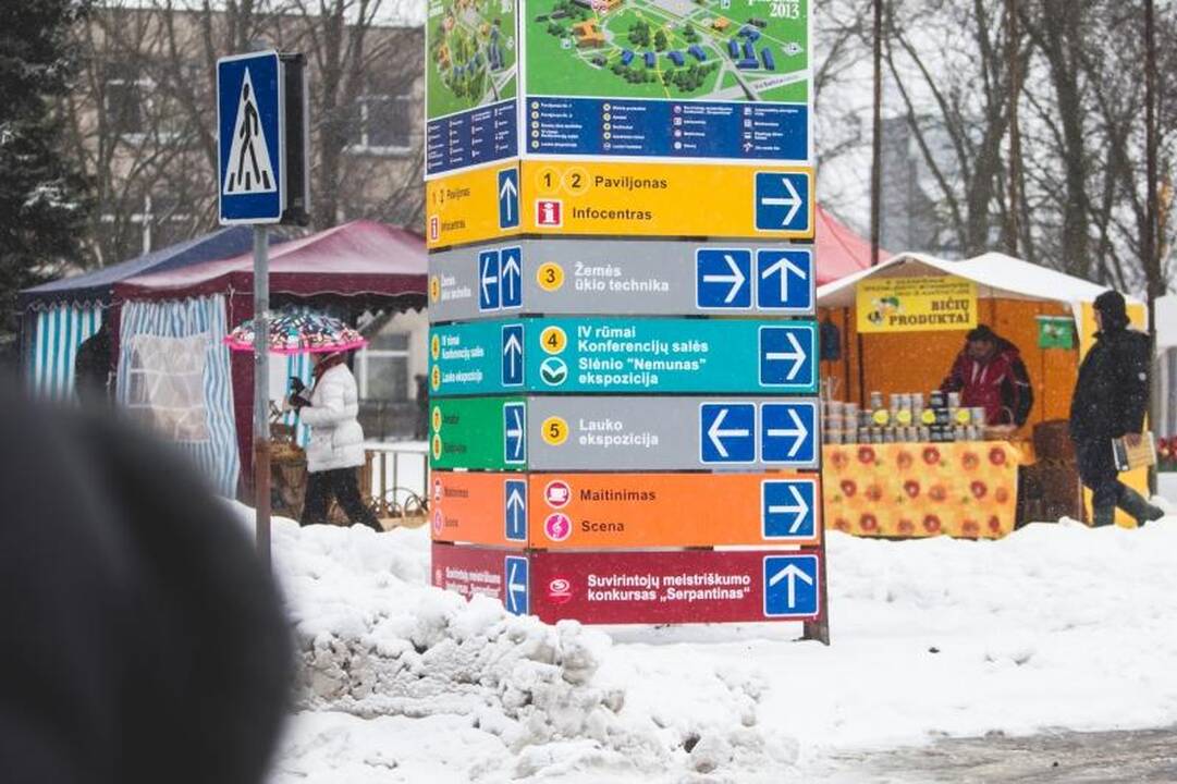 Žemės ūkio paroda „Ką pasėsi... 2013“ prasidėjo įspūdingomis spūstimis