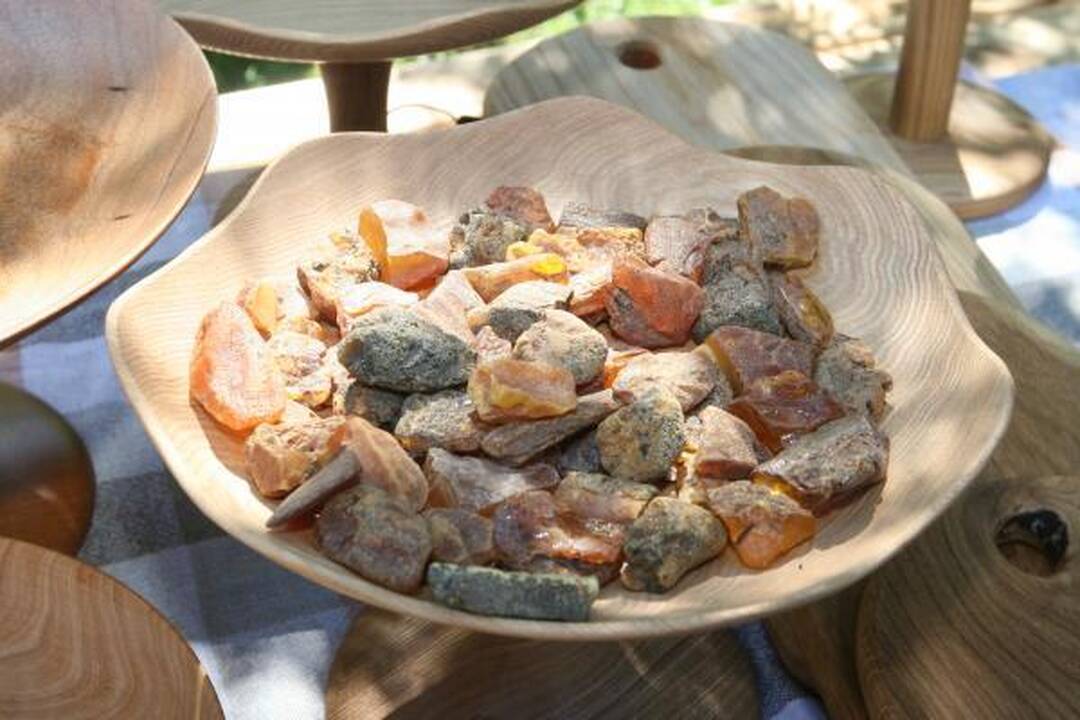 Prezidentė apsipirko žvejo sodyboje