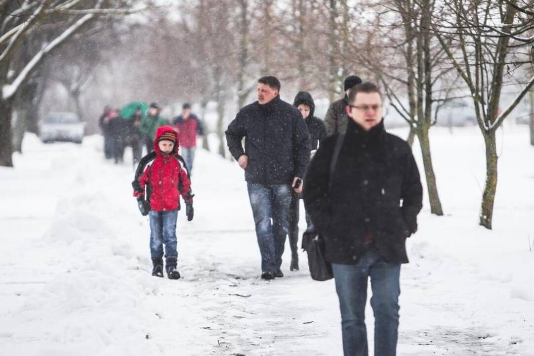 Žemės ūkio paroda „Ką pasėsi... 2013“ prasidėjo įspūdingomis spūstimis