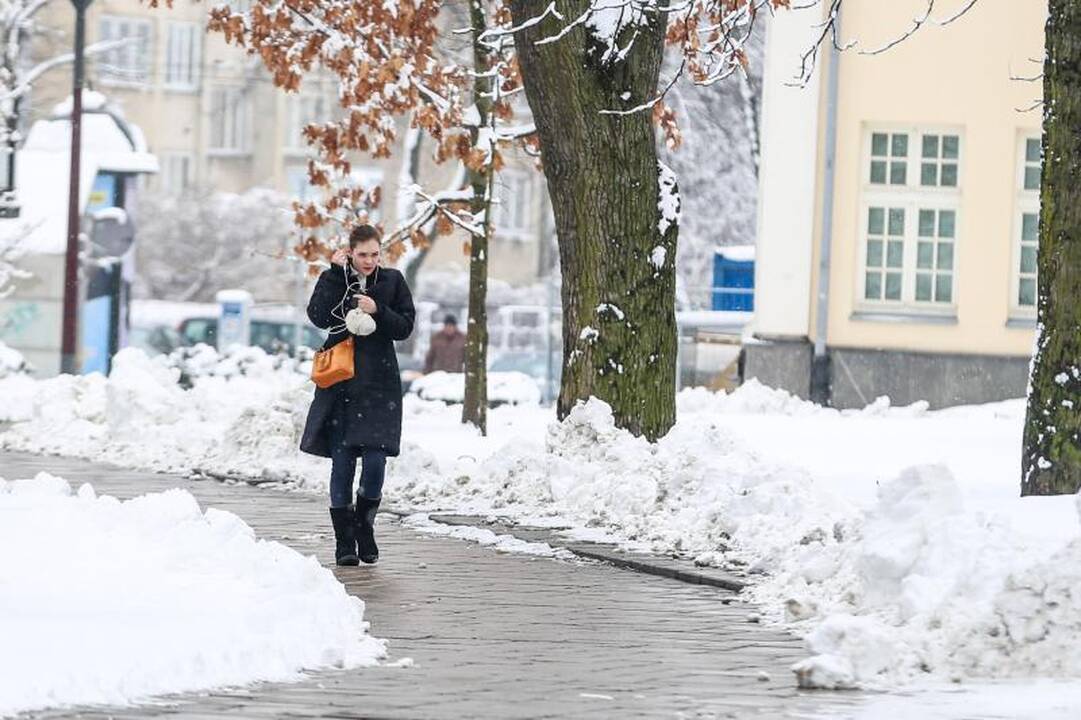 Meteorologė: šio sniego greitai nebeliks